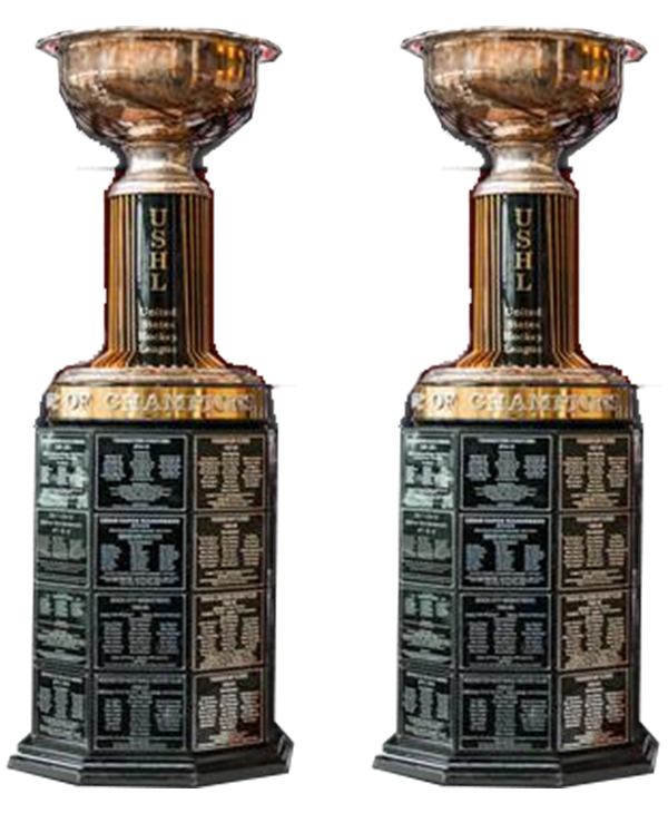 trophy cup icon
