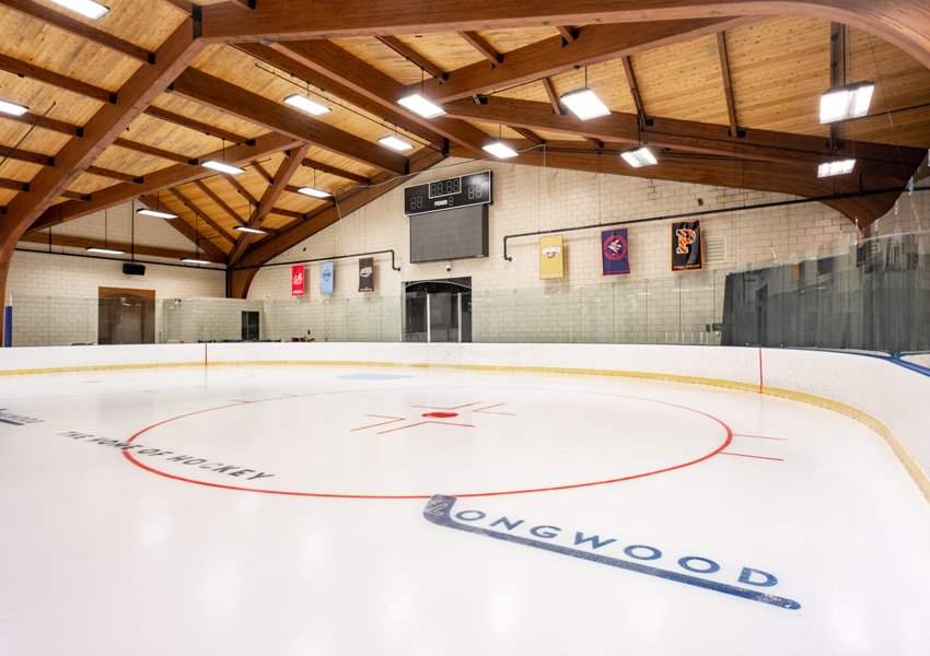 Rink 1